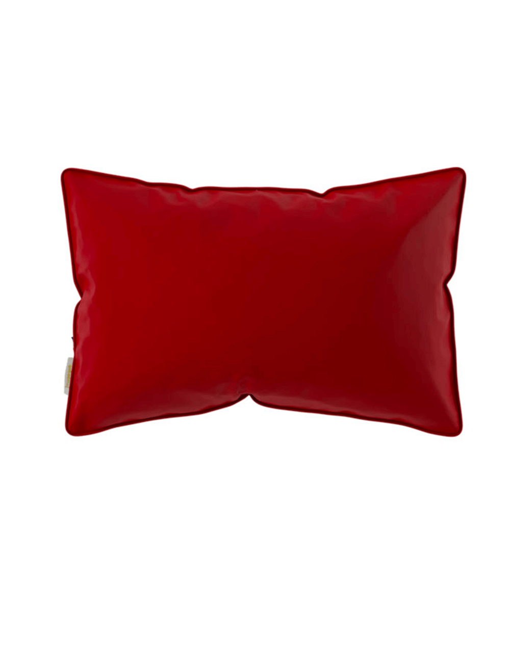  Coussin Signature 60x40cm (baigneuse)