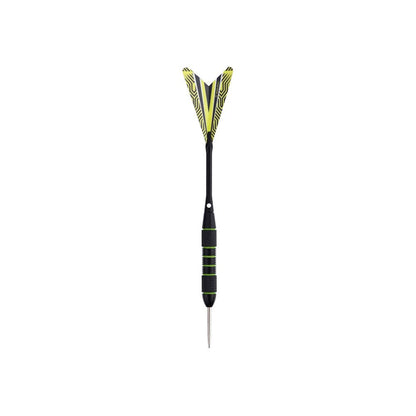  Cible De Fléchettes Traditionnelle 45 Cm Et Anneau De Protection Extérieur