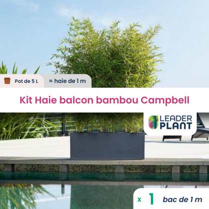  Kit Brise-vue Balcon Bambou Campbell 5 L