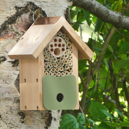  Abri Pour Insectes Pollinisateurs