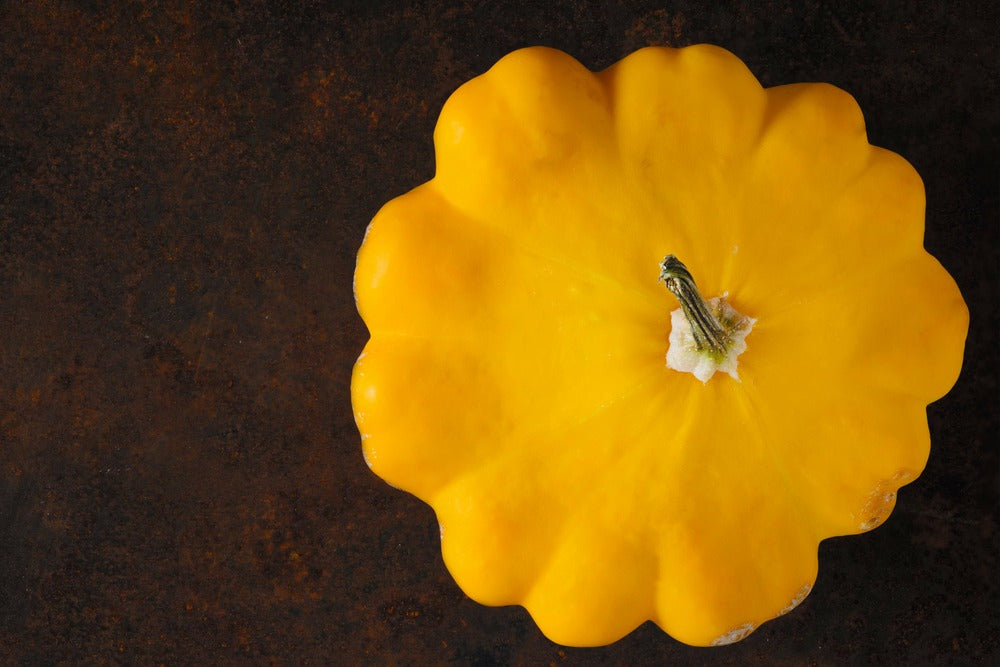  Sachet De Graines De Courgette Pâtisson Orange - Sachet De 1 Gramme - Petite Entreprise Française