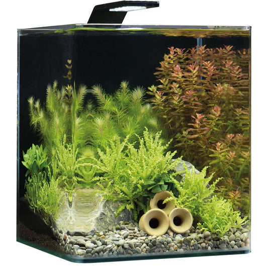 DENNERLE Aquarium Nano Cube Basic, Transparent : L.25xP.25xH.30 Cm- 20 Litres