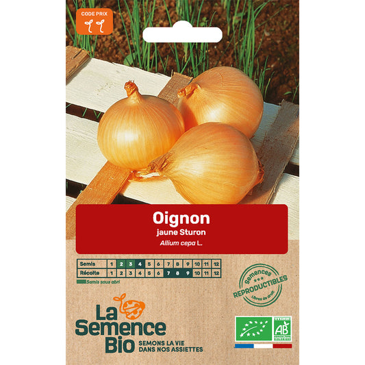  Graines Potagères Oignon Jaune Sturon Bio En Sachet