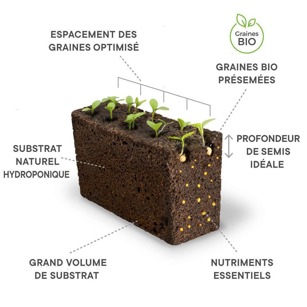  Recharge Lingot® De Basilic Citron Bio - Pour Potager Véritable®