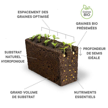  Recharge Lingot® De Basilic Citron Bio - Pour Potager Véritable®