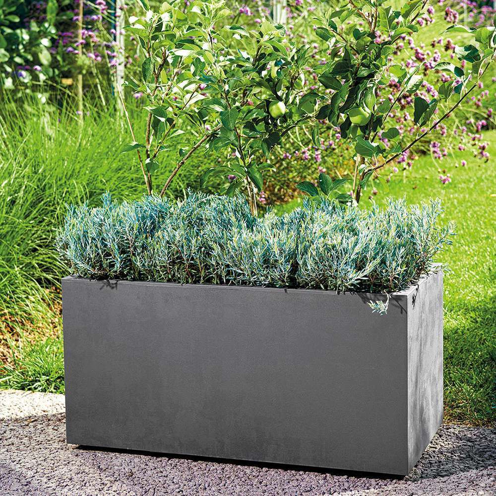  Pot Rectangle Millenium En Plastique Anthracite L.79 X P.39,5 X H.39cm