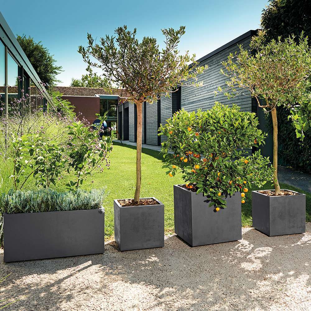  Pot Rectangle Millenium En Plastique Anthracite L.79 X P.39,5 X H.39cm