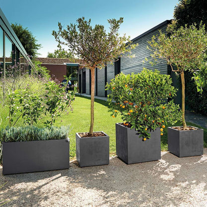  Pot Rectangle Millenium En Plastique Anthracite L.79 X P.39,5 X H.39cm