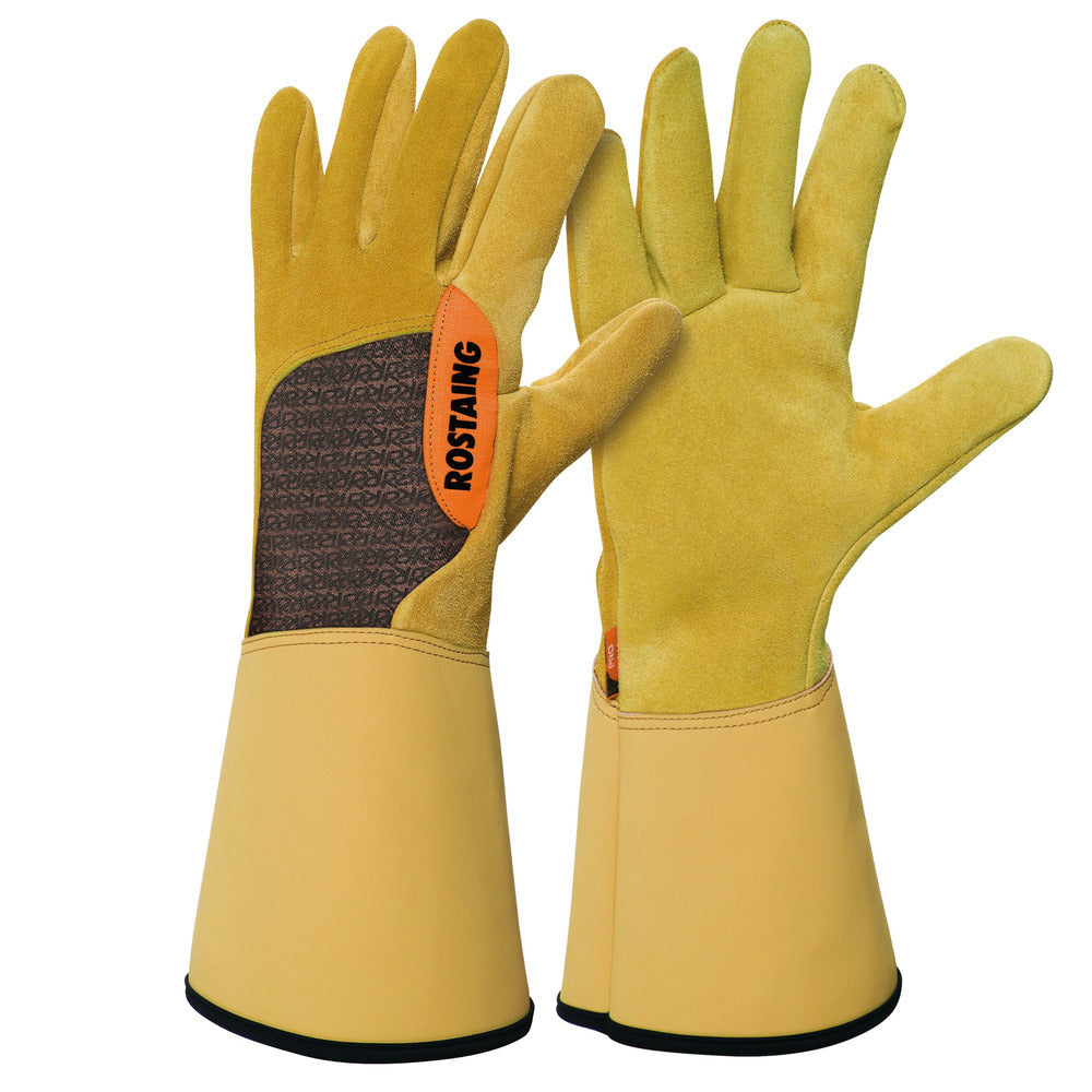  Gants Pro Epines Et Ronces Roncier T7