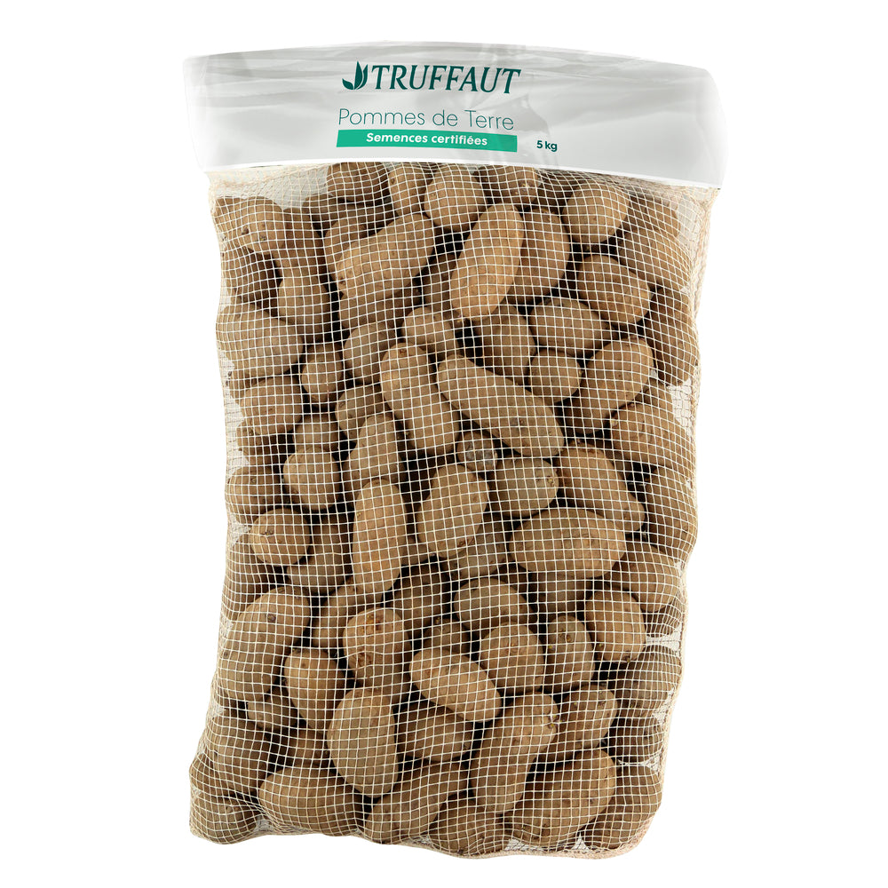  Plants De Pommes De Terre 'Charlotte' En Sac - 5 Kg