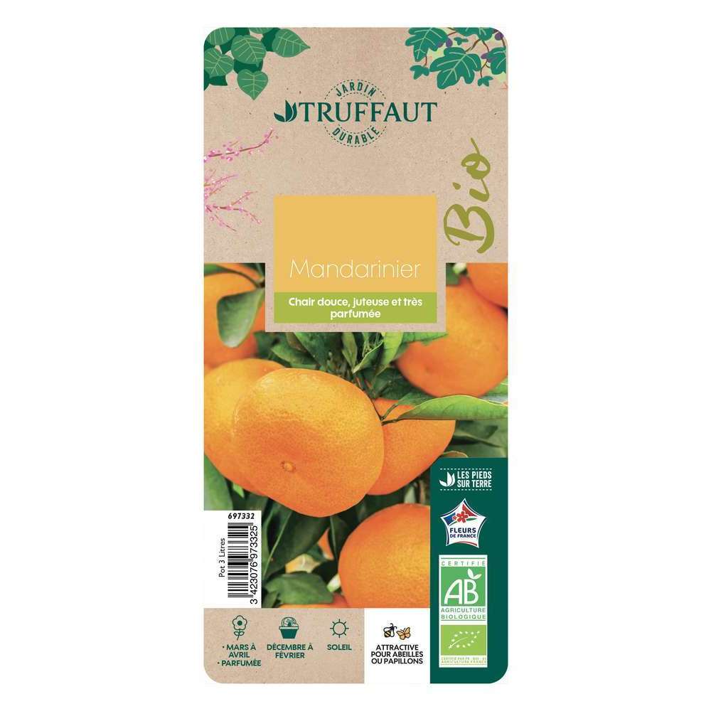  Mandarinier : C3L, Agriculture Biologique