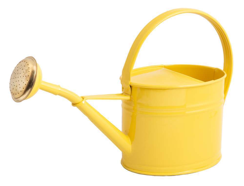  Arrosoir Galvanisé D’une Contenance De 1,75L Jaune