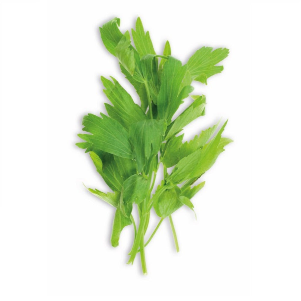  Ache De Montagne - Ca. 1 Gr (livraison Gratuite)