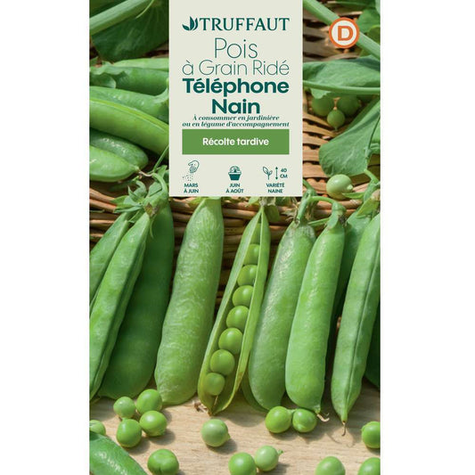  Graines De Pois Nain à Grain Ridé Telephone Nain En Boite