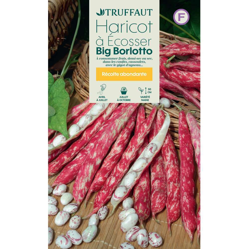  Graines De Haricot Borlotto En Boite