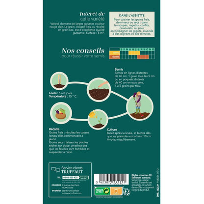  Graines De Haricot Borlotto En Boite