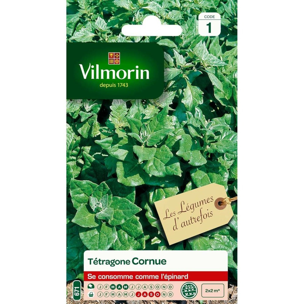  Sachet Graines Tétragone Cornue