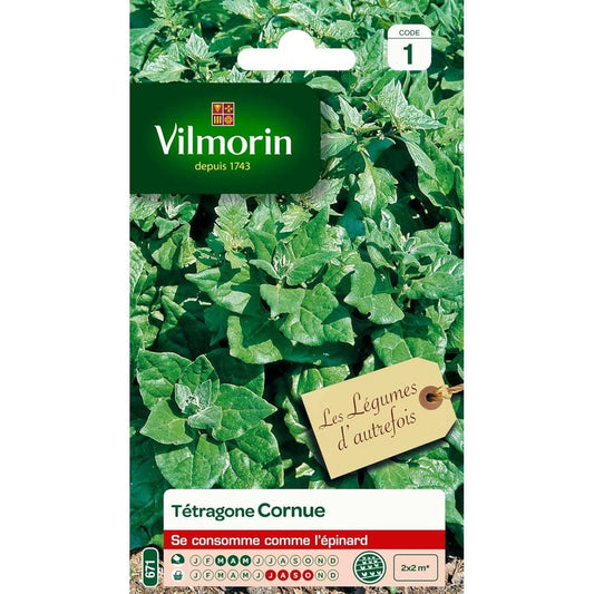  Sachet Graines Tétragone Cornue