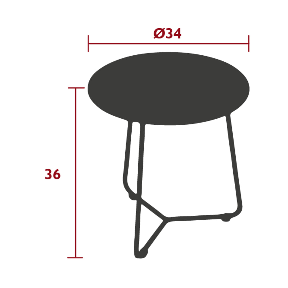  Table D'appoint Cocotte Cactus