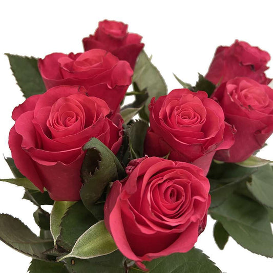  Botte De 7 Roses Rhodos Rouges