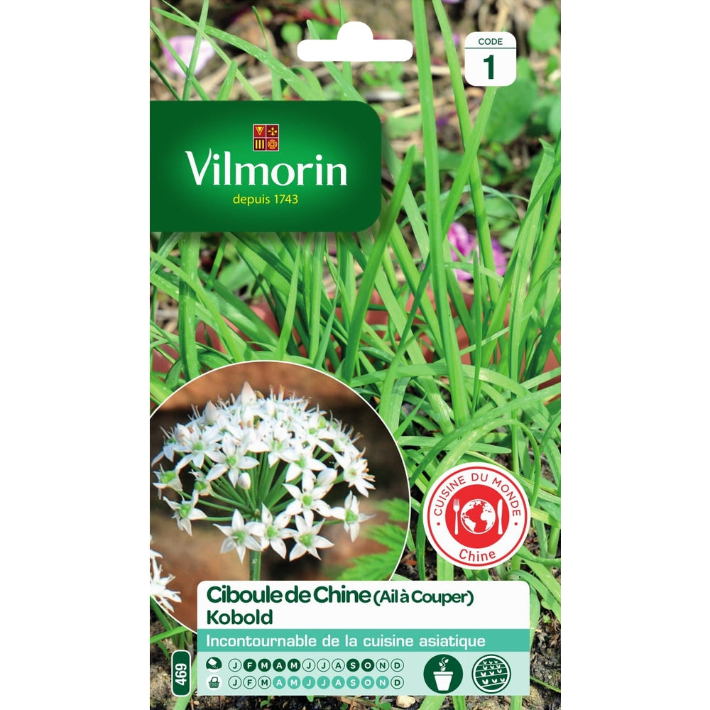  Graines De Ciboule De Chine En Sachet