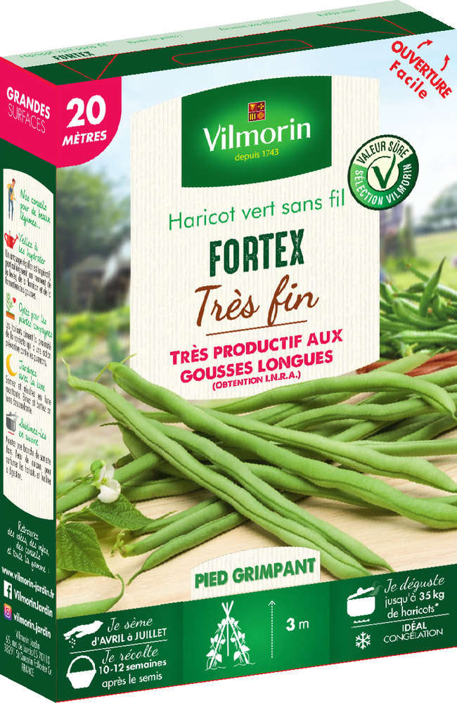  Graines De Haricot Grimpant Vert Fortex En Boite
