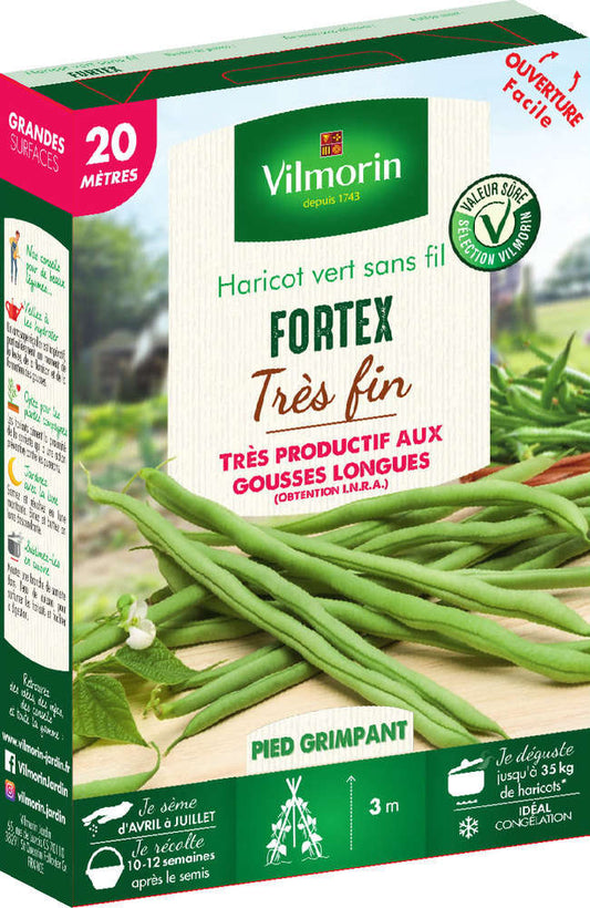  Graines De Haricot Grimpant Vert Fortex En Boite
