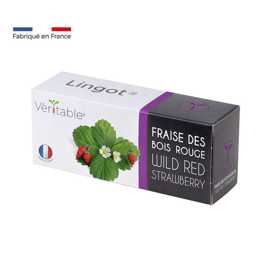  Recharge Lingot® De Fraise Des Bois Rouge - Pour Potager Véritable®