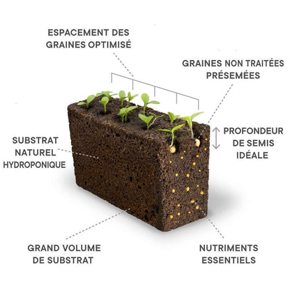  Recharge Lingot® De Fraise Des Bois Rouge - Pour Potager Véritable®