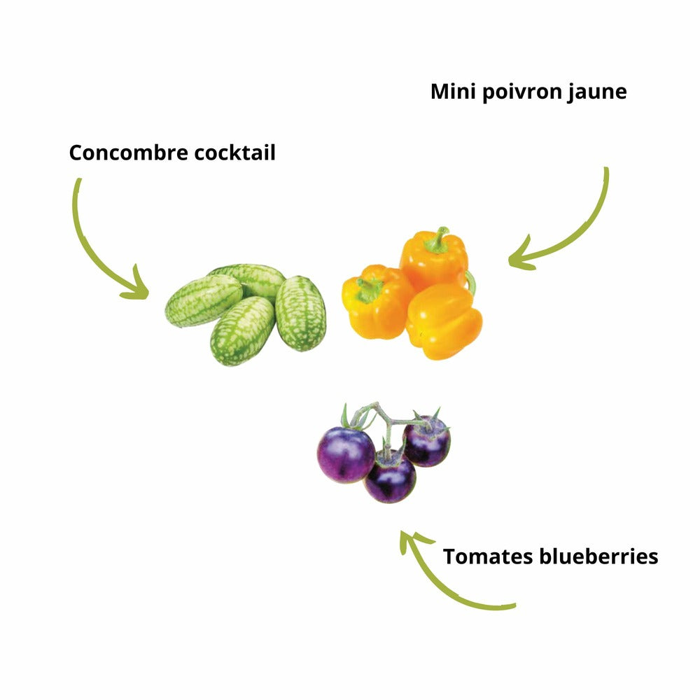  Cultivea Kit Sacs De Culture Prêt à Pousser - Concombre, Tomate, Poivron