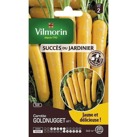  Graines De Carotte Goldnugget HF1