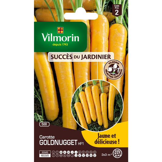  Graines De Carotte Goldnugget HF1