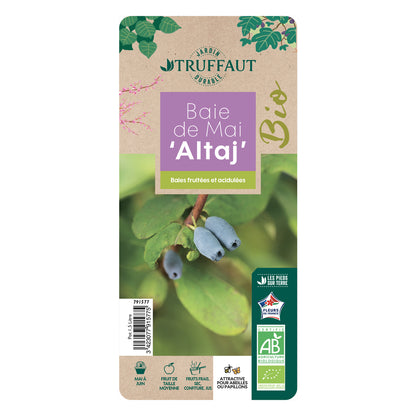  Baie De Mai 'Altaj' Bio : Pot De 1,5 Litres