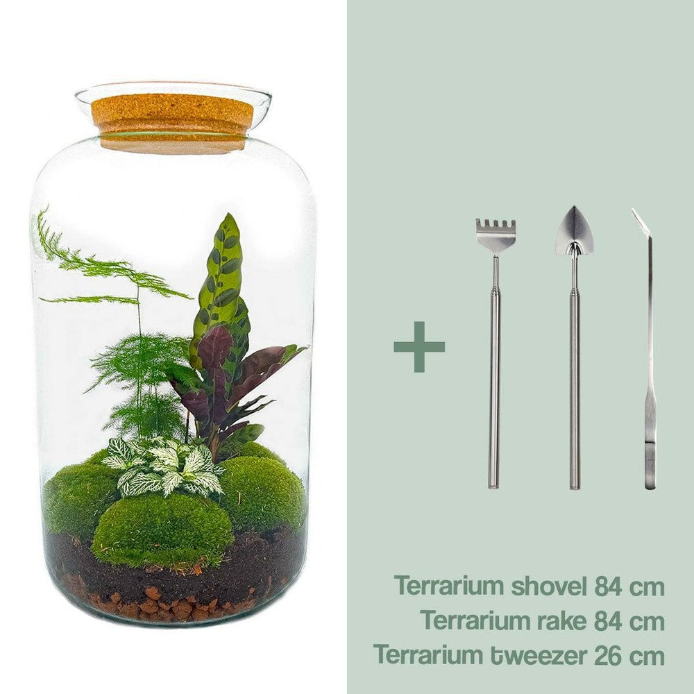  Kit Terrarium Diy - Salen - Rateau + Pelle + Pince
