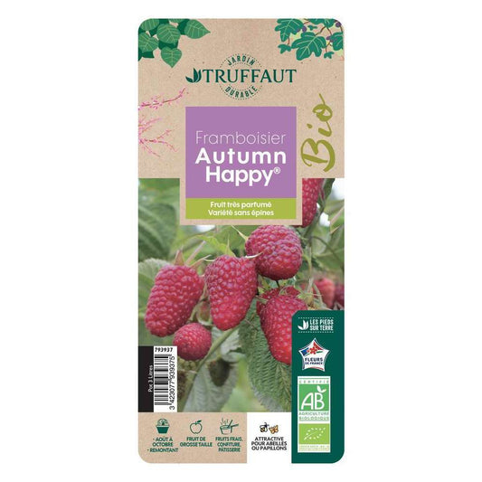  Framboisier Autumn Happy® 'Malling Happy' : Pot De 3 Litres