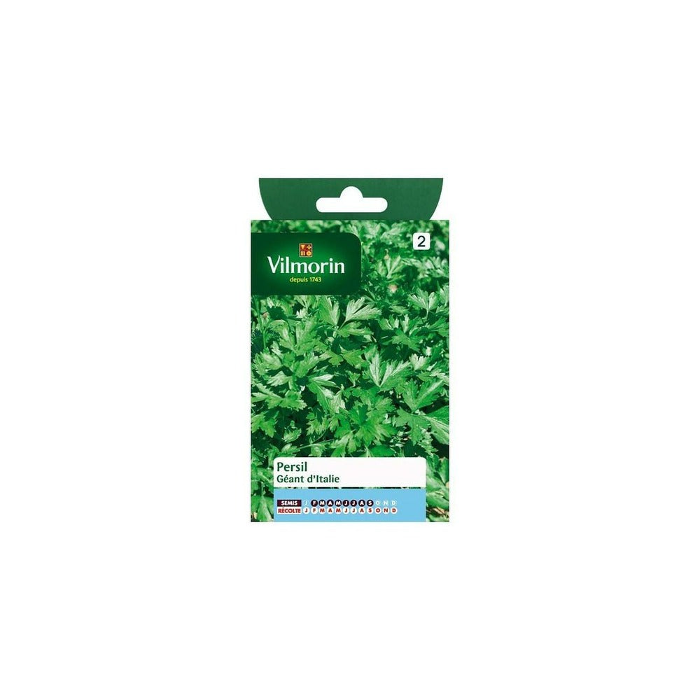  Sachet Graines Persil Géant D'italie