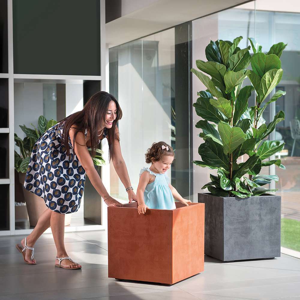  Pot Cube Millenium Plastique Réserve D'eau & Roulettes Anthracite 49cm