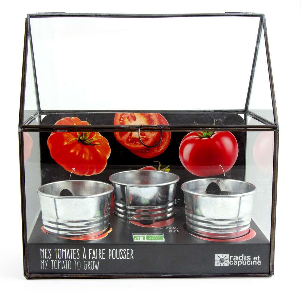 Chassis Noir Graines De Tomate Bio
