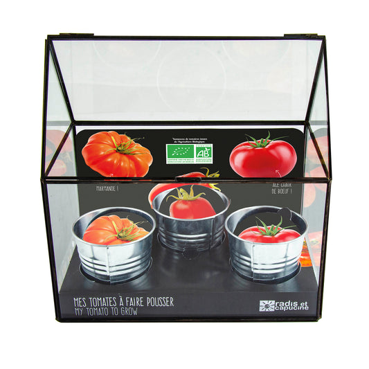  Chassis Noir Graines De Tomate Bio