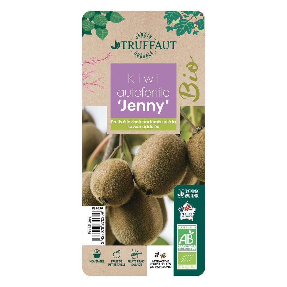  Kiwi Deliciosa 'Jenny' Autofertile Bio : Pot De 1,5 Litres
