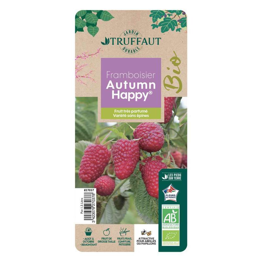  Framboisier Autumn Happy®'Malling Happy' Bio : Pot De 1,5L