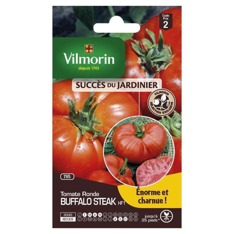  Graines De Tomate Buffalo Steak HF1