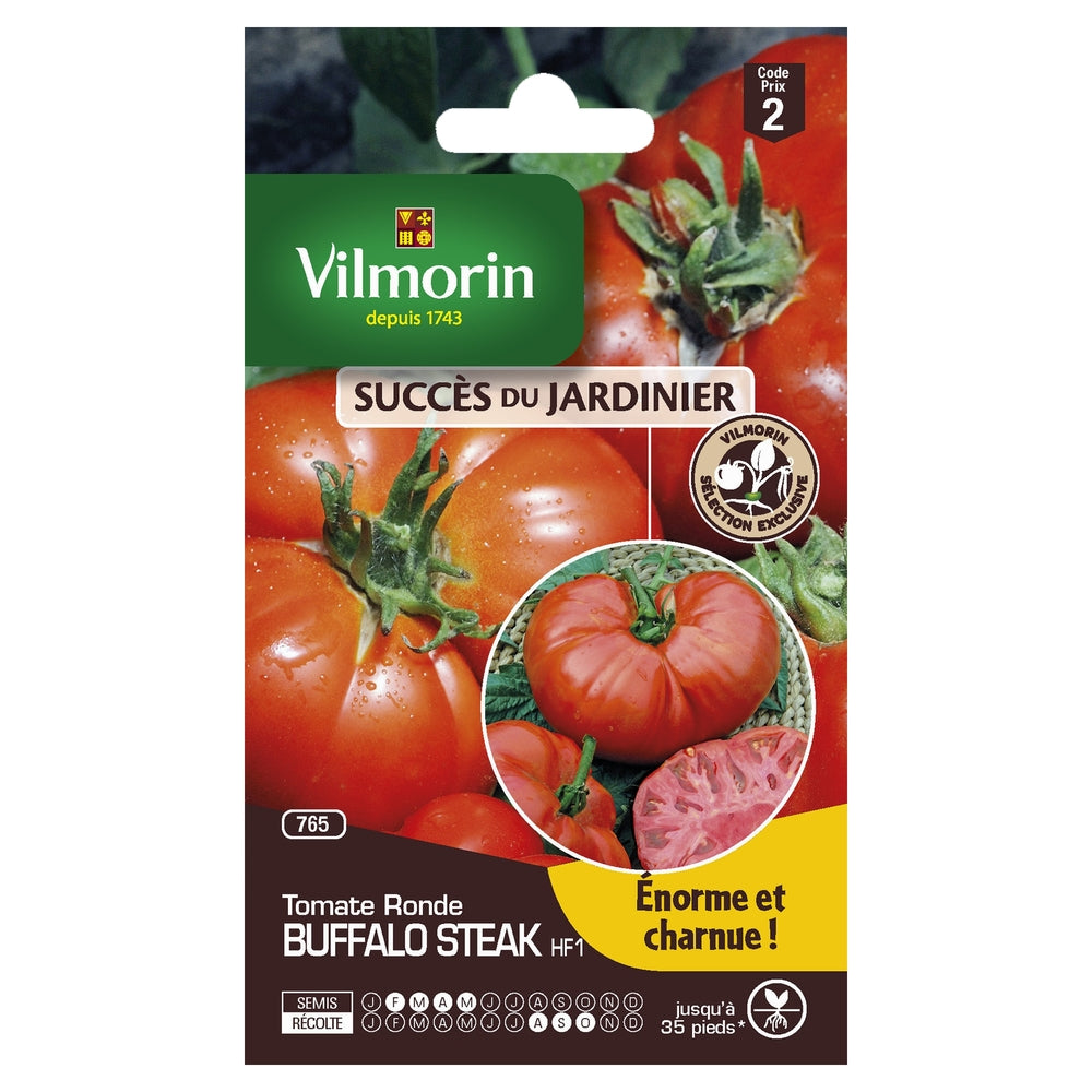  Graines De Tomate Buffalo Steak HF1