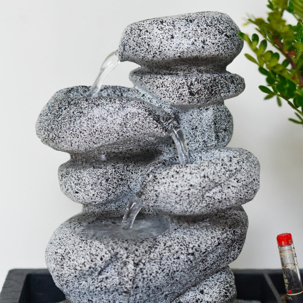  Bonsaï - Set De 2 - Bonsai - Hauteur 25-35cm - ⌀29cm