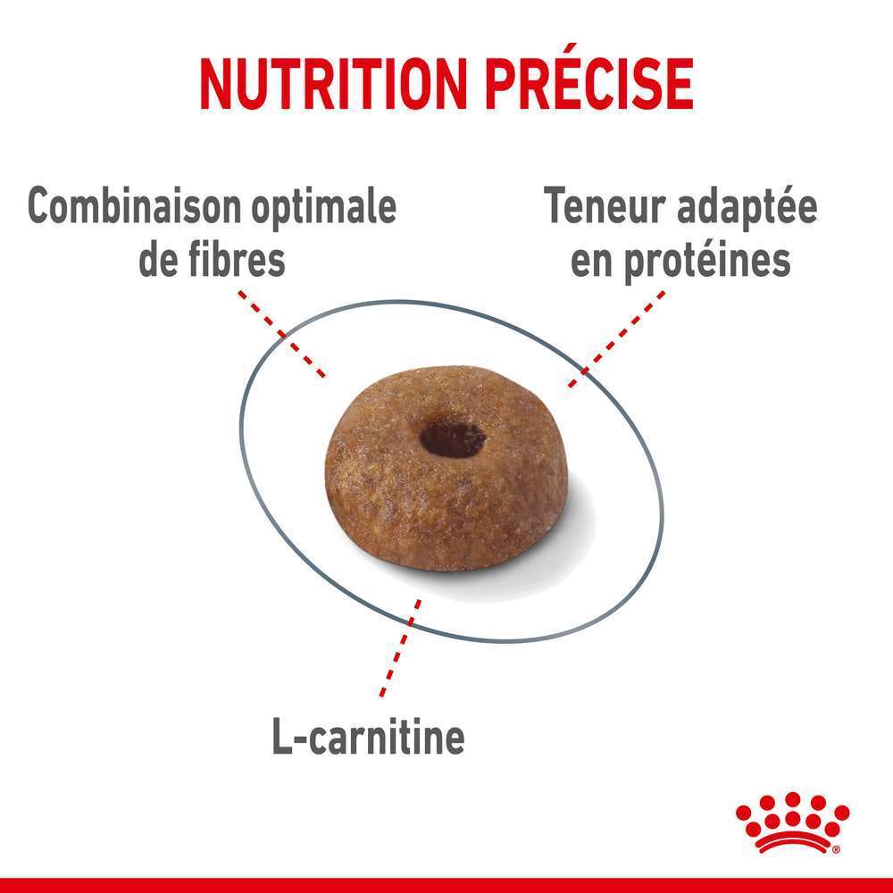 ROYAL CANIN Croquettes Chat Adulte Limite Prise De Poids Light Weight 3kg