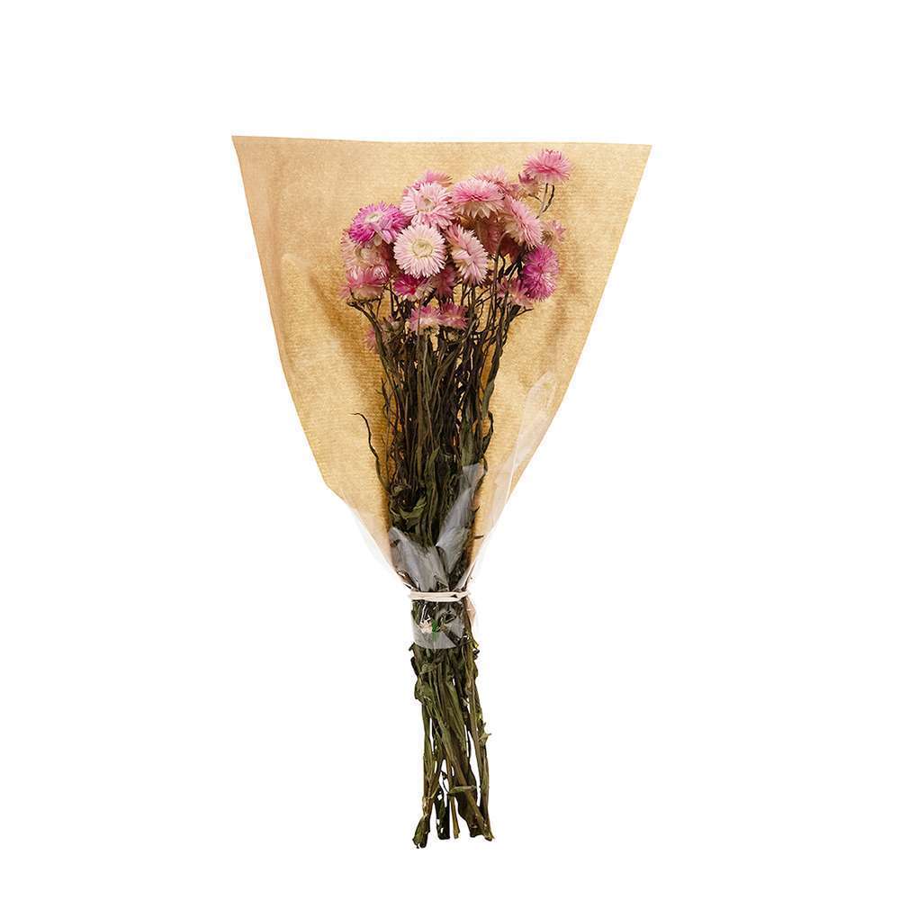  Bouquet De Fleurs Séchées Helichrysum Rose