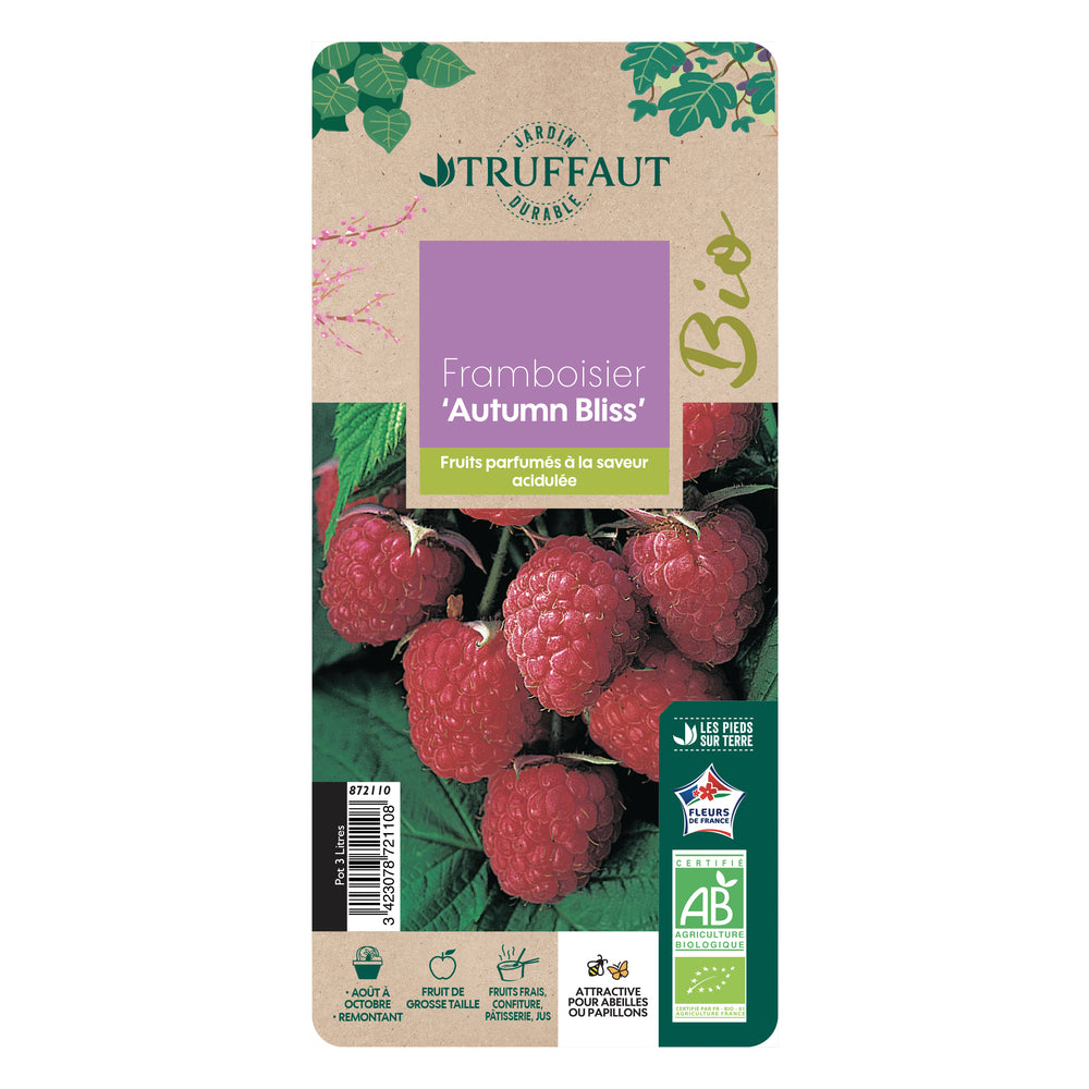  Framboisier 'Autumn Bliss' Bio : Pot De 3 Litres