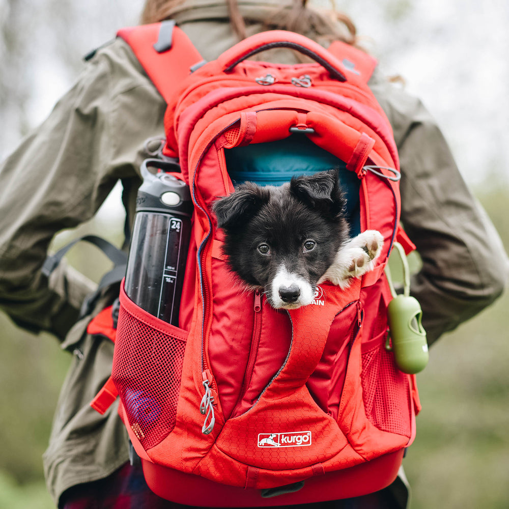 Kurgo Sac à Dos De Transport G-Train K9 Rouge Pour Chien