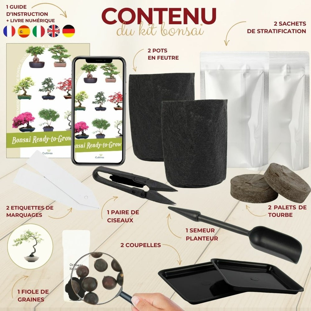  Cultivea - Kit First Bonsai Hackberry Avec Accesoires