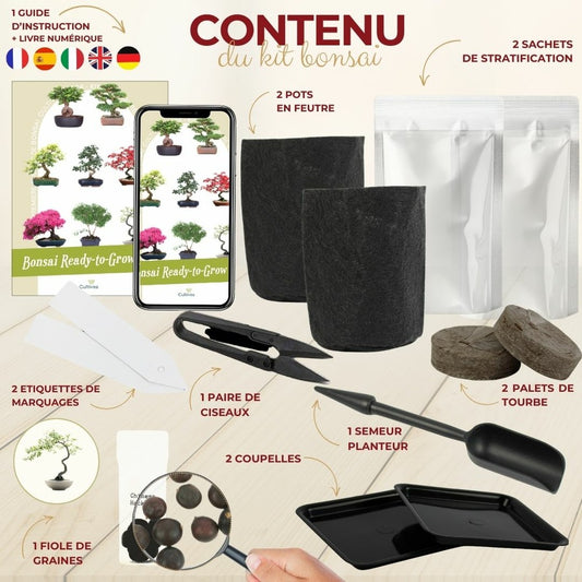  Cultivea - Kit First Bonsai Hackberry Avec Accesoires